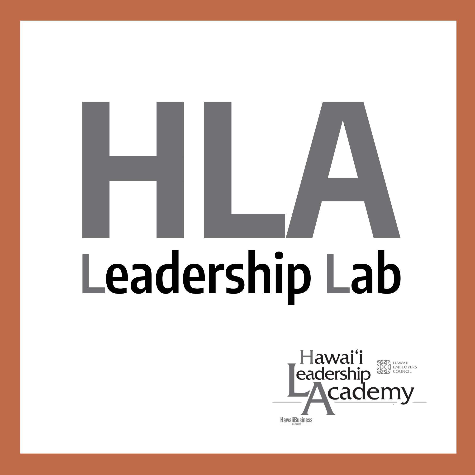 HLA Leadership Lab